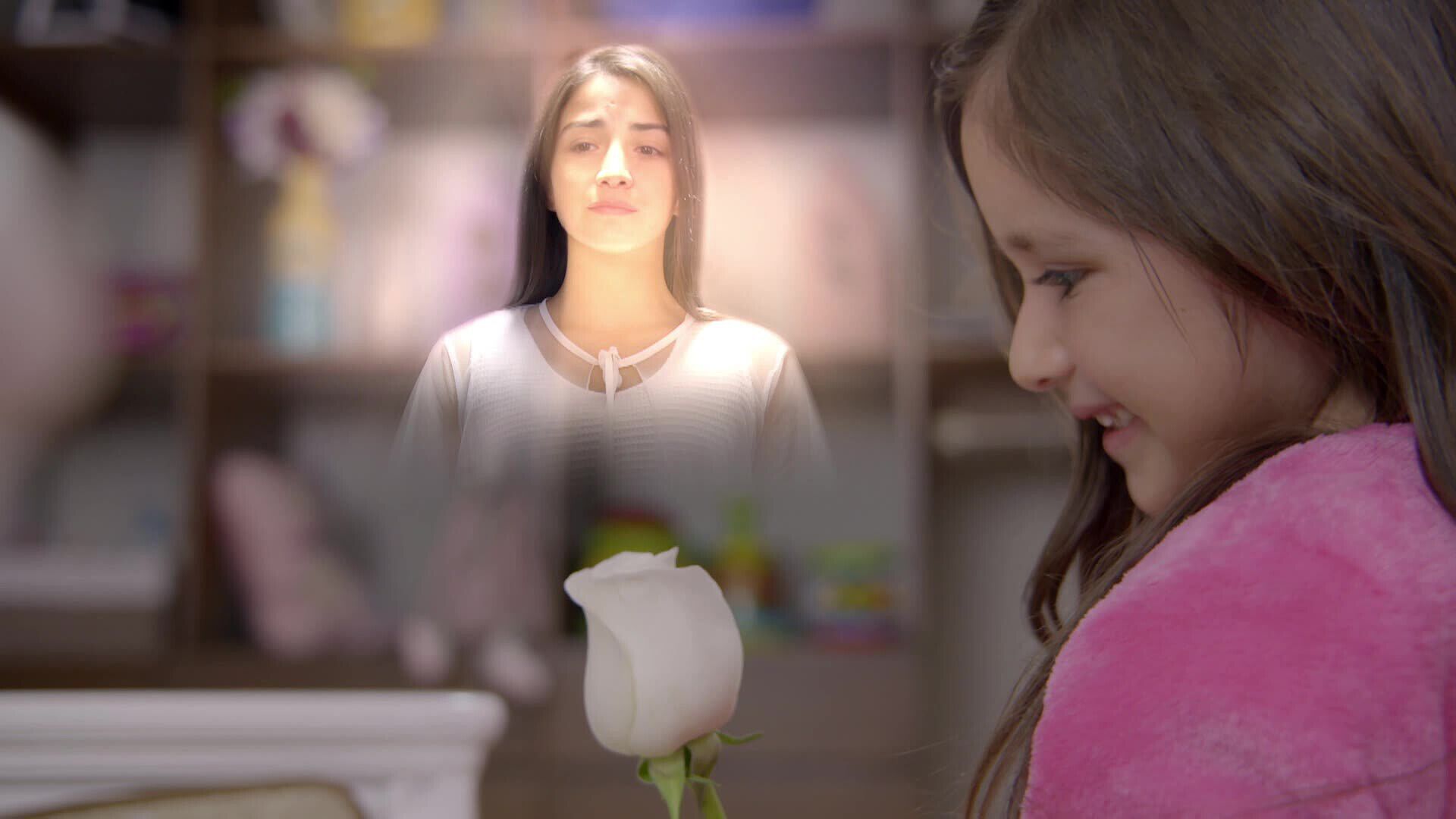 Descubrir 58+ imagen dulces y chocolates la rosa de guadalupe actores